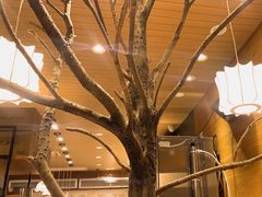 -茶颜悦色(登高路上店)