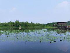 -溱湖国家湿地公园