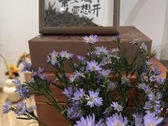 -虫二茶事(彭家巷店)