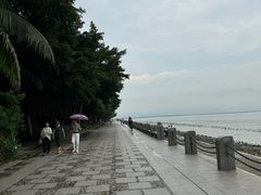 -深圳湾公园(南山区)