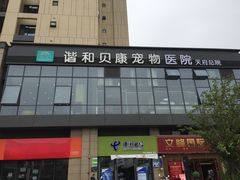 -谐和贝康宠物医院24小时·宠保定点(急重症转诊中心)