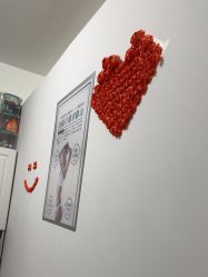 -CAMENAE嘉媚乐