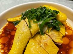 葱油嫩鸡-熠盛粤味·顺德桑拿鸡(永康路店)