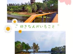 -东郊湿地公园