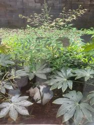 点击看大图 -馨月汇·一悦馨香月子中心(前滩店)