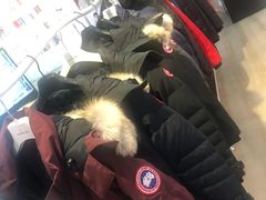 -国药中服免税(北京坊店)