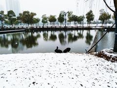 -南京医科大学(江宁校区)