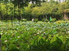 -顺峰山公园