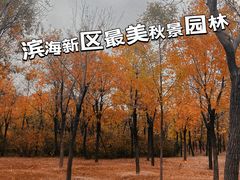 -官港森林公园