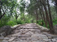 -阳台山自然风景区