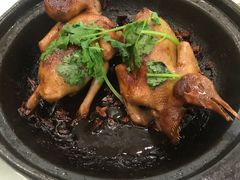 -粤西稻里(富力路店)