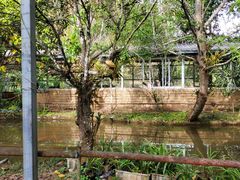 -捞渔河湿地公园