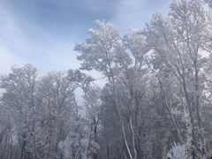 -中旅松花湖滑雪场