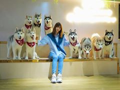 -Husky Go! 哈士奇体验馆·宠物咖啡厅狗咖