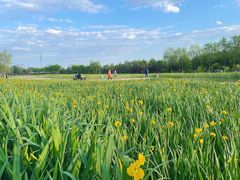 -永定河休闲森林公园
