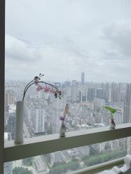 -久匠·纹眉半永久野生眉