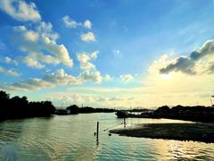 -崖口红树林海鲜餐厅