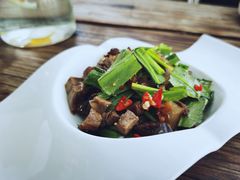 -悦哉·派对·草坪婚礼·围炉煮茶(三圣乡店)