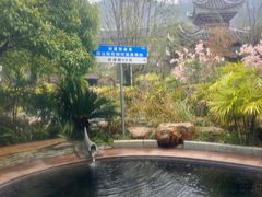 -剑河仰阿莎温泉小镇