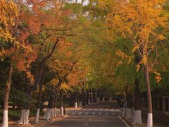 -八大关景区