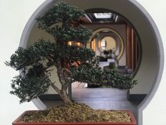 -腾冲和顺柏联酒店