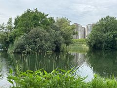 -新江湾城公园