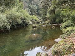 -龙苍沟森林公园