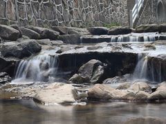 -北仑森林植物园