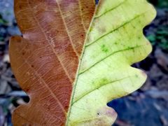 -九鼎铁刹山风景区