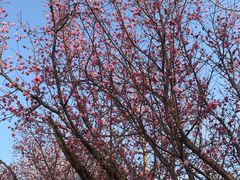 -仙海旅游度假区