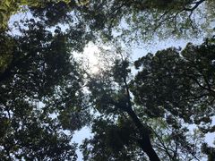 -凤栖山