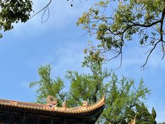 -普陀山风景名胜区-法雨禅寺