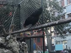 -爱德堡西餐咖啡吧(北师大店)