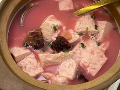 三明红菇炖豆腐-CHIC1699远洋私厨