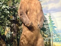 -陕西自然博物馆