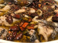 沸腾江团鱼-沸腾鱼家(大尧三路店)