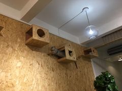 -拾壹cafe·工作室