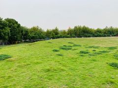 -栖露营camping·天幕烧烤·团建拓展·采摘营地