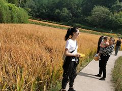 -韶山毛泽东同志故居