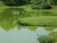 -两河城市森林公园