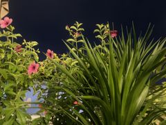 -故里和山·成都火锅(欢乐港湾店)