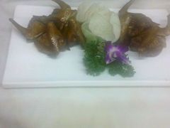 android_upload_pic-宜宾海鲜酒家·三十年老字号