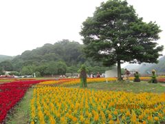 -广州市石门国家森林公园