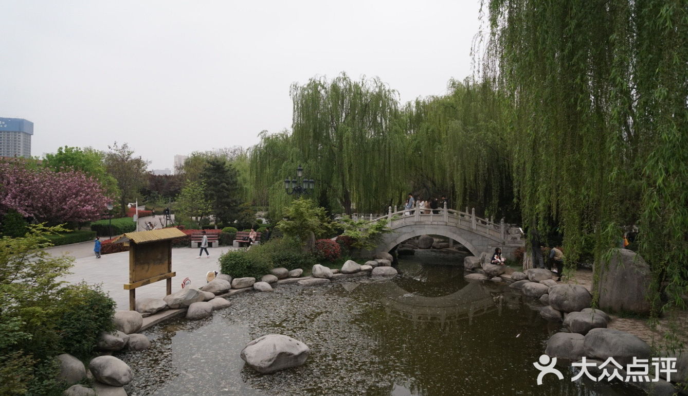 西安青龙寺乐游原踏青赏樱好地