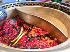 红白鸳鸯锅-小龙坎老火锅(北京三里屯店)