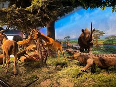 -国家自然博物馆