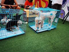 -Peet's Coffee皮爷咖啡(豫园店)