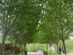 -Supine Bistro溯泮餐厅