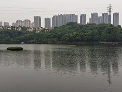 -重庆彩云湖湿地公园
