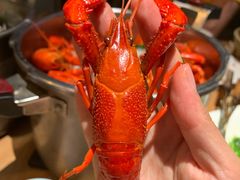 高压锅蒸大虾-蚝翅·烧烤·海鲜粥·龙虾季(高新区智慧园店)